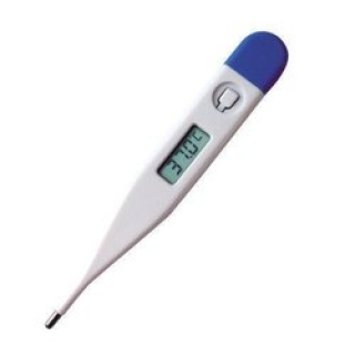 CRYSTAL_LIFE_THERMOMETER_PATTI